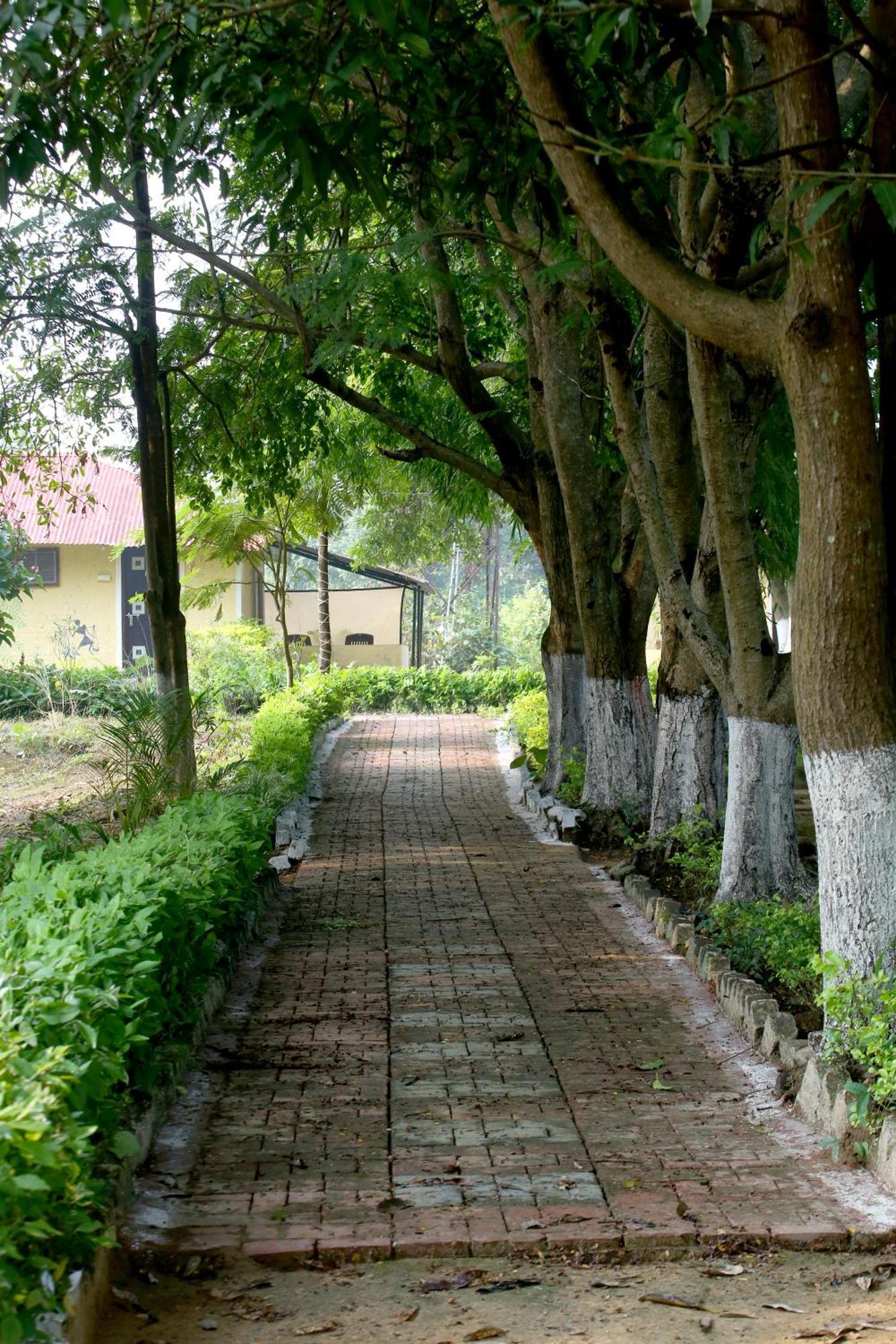 Tribal Wood Resort Dhanwar Екстер'єр фото