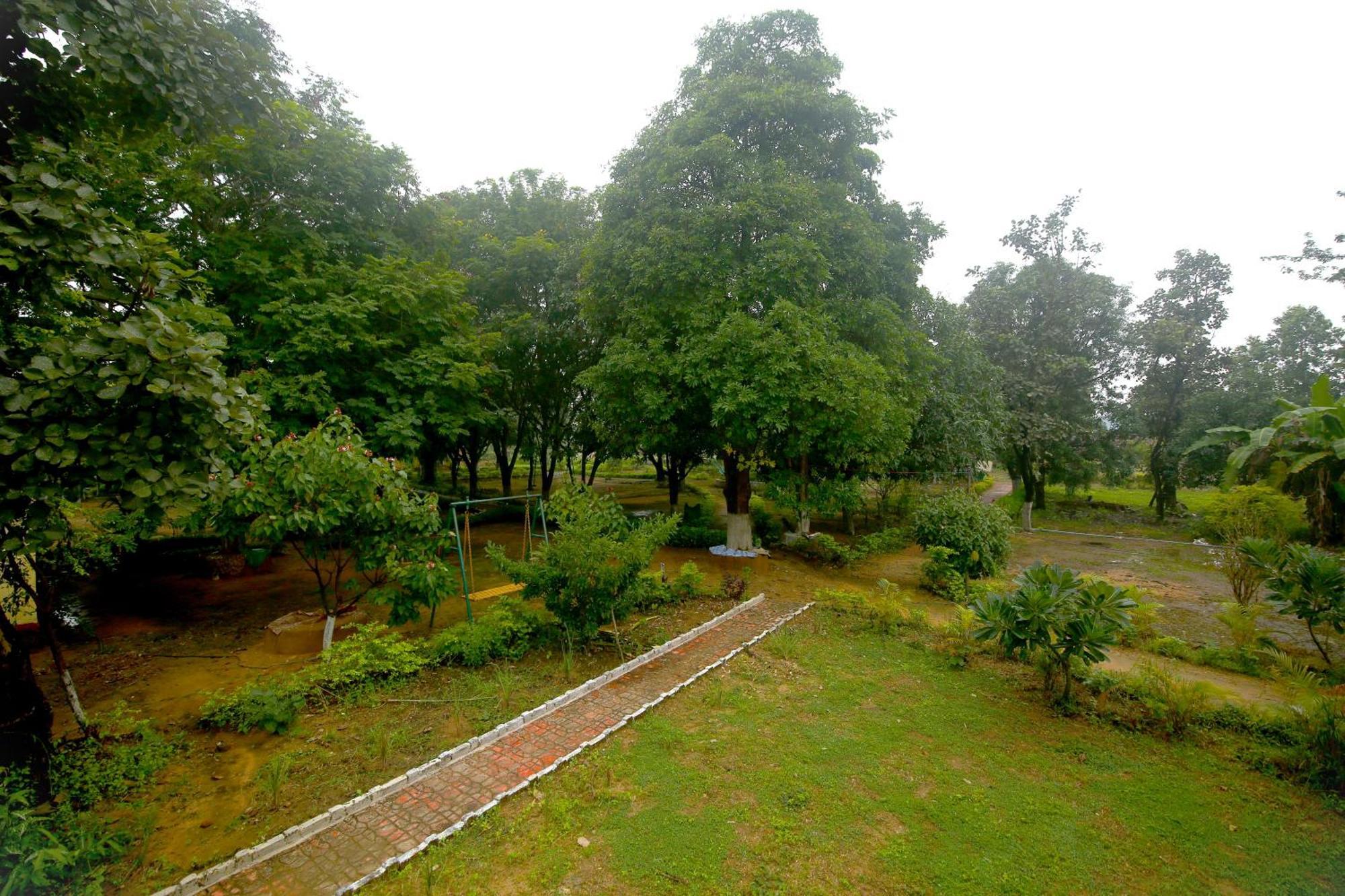 Tribal Wood Resort Dhanwar Екстер'єр фото